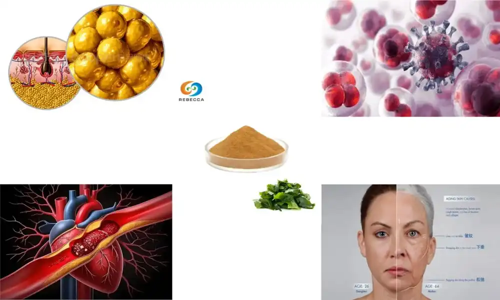 What is fucoxanthin? What is fucoxanthin?